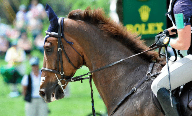 Rolex Equestrianism event