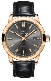Ingenieur