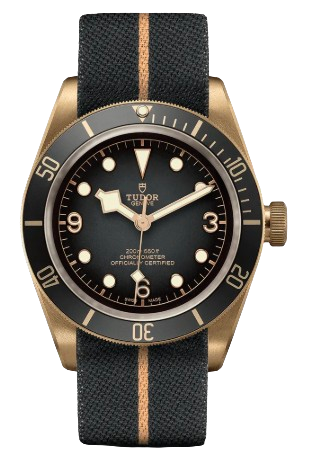 Black Bay Bronze