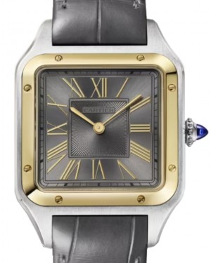 Cartier Santos-Dumont Large Steel Yellow Gold Bezel Gray Dial W2SA0028 - BRAND NEW