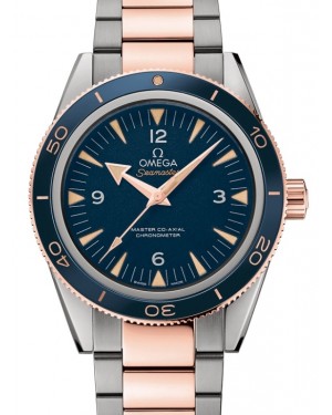 Omega Seamaster 300 Master Co-Axial Chronometer 41mm Titanium/Sedna Gold Blue Dial 233.60.41.21.03.001 - BRAND NEW