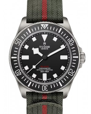 Tudor Sport Watches Pelagos FXD Titanium 42mm Black Dial M25717N-0001