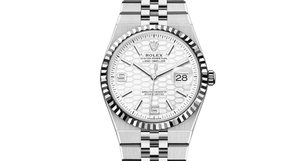 Rolex Land-Dweller 36 White Gold/Steel Intense White