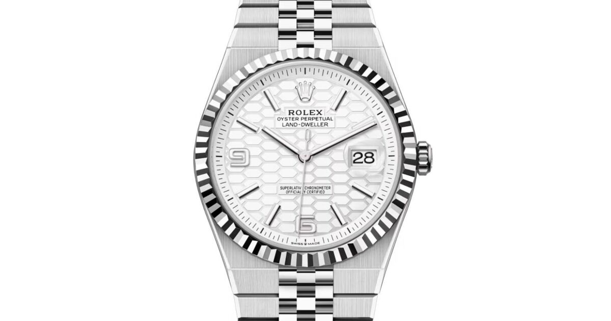 Rolex Land-Dweller 40 White Gold/Steel Intense White
