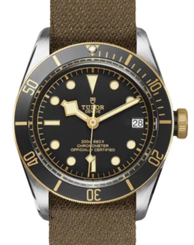 Tudor Black Bay S&G Steel 41mm Black Dial Fabric Strap M79733N-0005
