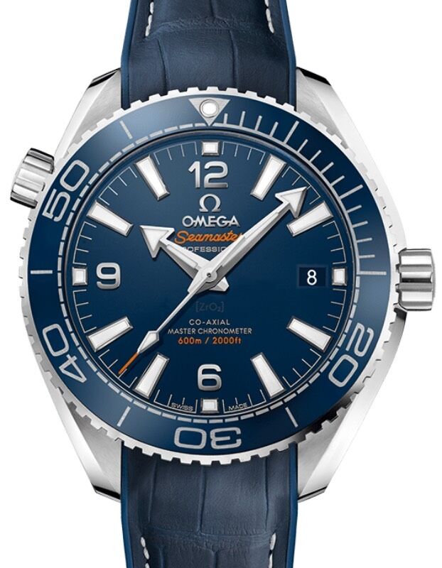 Omega seamaster planet ocean 600m price online