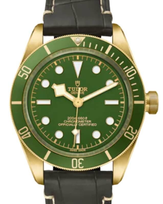 【激安通販 オンラインショップ】日用品 tudor_black_bay_fifty- アクセサリー