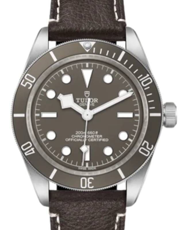 Tudor Black Bay 58 925 Silver 39mm Taupe Dial Leather Strap