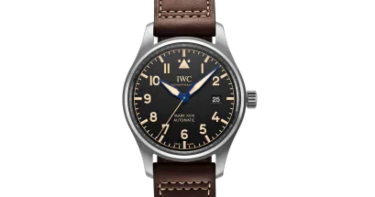 IWC Pilot