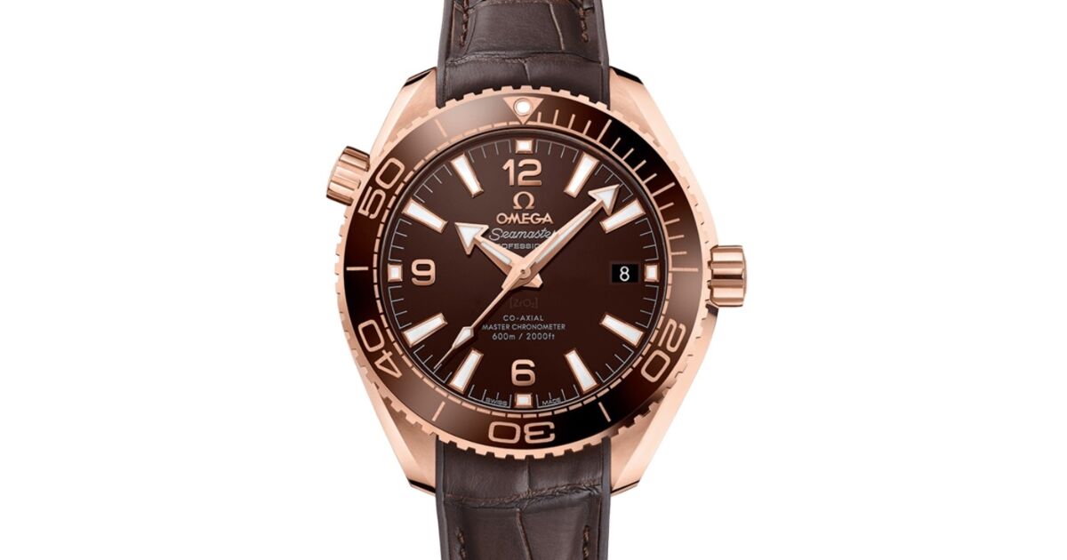 Omega Seamaster Planet Ocean 600M 39.5mm Sedna Gold Brown Dial 
