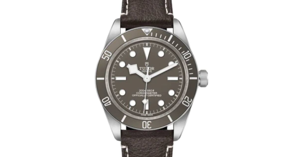 58 Bay Black Tudor 銀ベイ Silver ref.M79010SG 05/2022 プリンター・複合機