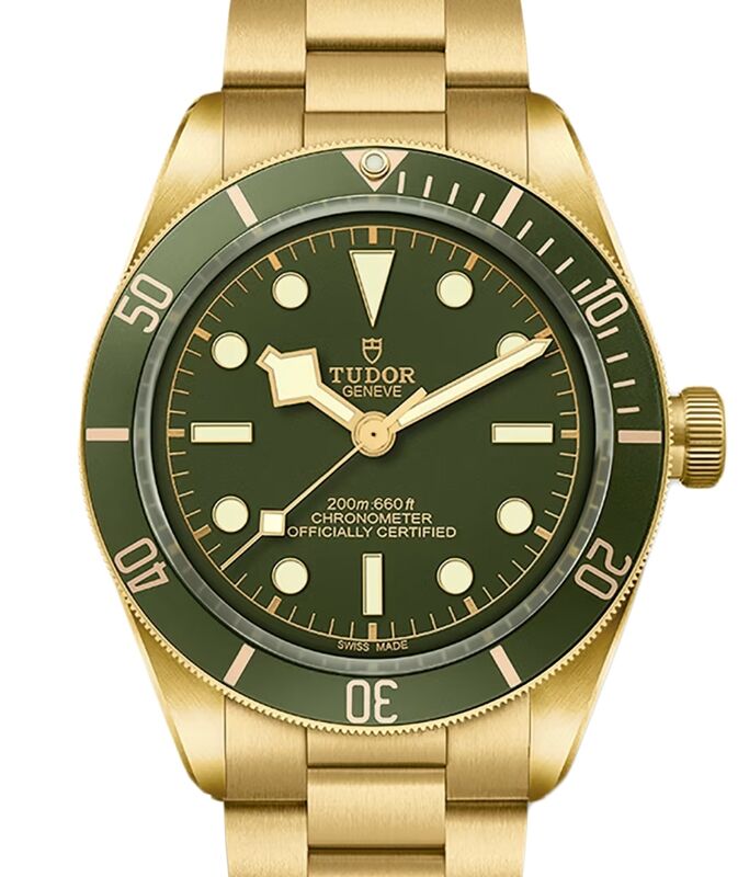 Tudor bronze green discount