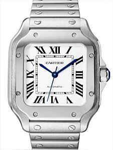 Santos de Cartier Medium Steel Silver Dial WSSA0029