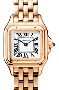 Cartier Panthere de Cartier Small Quartz Rose Gold Silver Dial WGPN0049