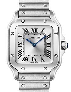 Cartier Santos de Cartier Small Quartz Steel Silver Dial WSSA0082