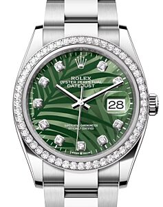 Rolex Datejust 36 White Gold/Steel Olive Green Palm Motif Diamond Dial & Diamond Bezel Oyster Bracelet 126284RBR - BRAND NEW