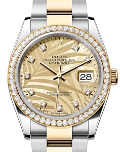 Rolex Datejust 36 Yellow Gold/Steel Golden Palm Motif Diamond Dial & Diamond Bezel Oyster Bracelet 126283RBR - BRAND NEW