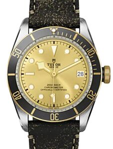 Tudor Black Bay S&G Steel 41mm Champagne Dial Aged Leather Strap M79733N-0003