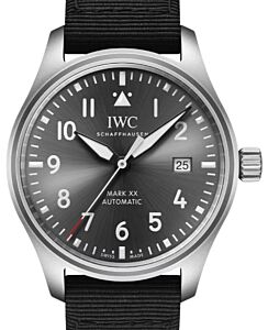 IWC Pilot's Watch Mark XX Patrouille Suisse Titanium 40mm Grey Dial IW328209 - BRAND NEW