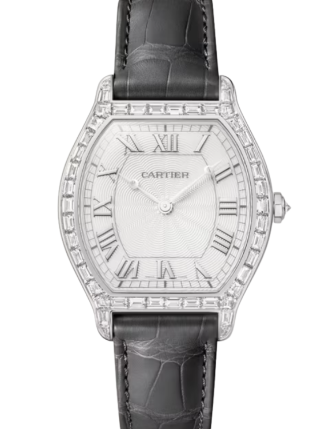 Cartier Tortue Large Platinum Silver Dial HPI01830
