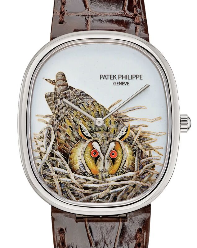 Patek Philippe Rare Handcrafs Golden Ellipse "Brown Owl" White Gold 5738/50G-049 - BRAND NEW