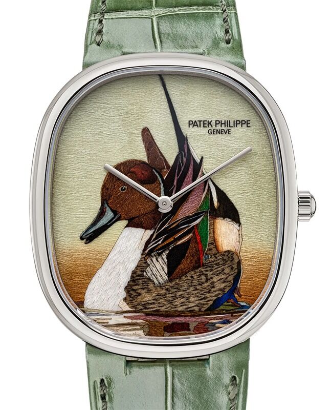 Patek Philippe Rare Handcrafs Golden Ellipse "Northern Pintail" White Gold 5738/50G-047 - BRAND NEW