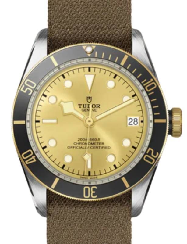 Tudor Black Bay S&G Steel 41mm Champagne Dial Fabric Strap M79733N-0006