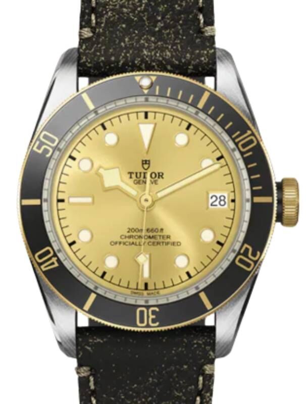 Tudor Black Bay S&G Steel 41mm Champagne Dial Aged Leather Strap M79733N-0003