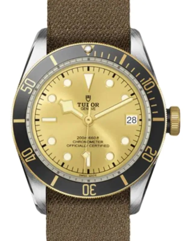 tudor_black_bay_stainless_stee