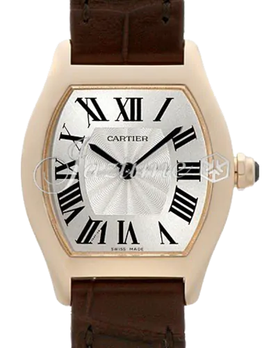 w1556360-orig.webp